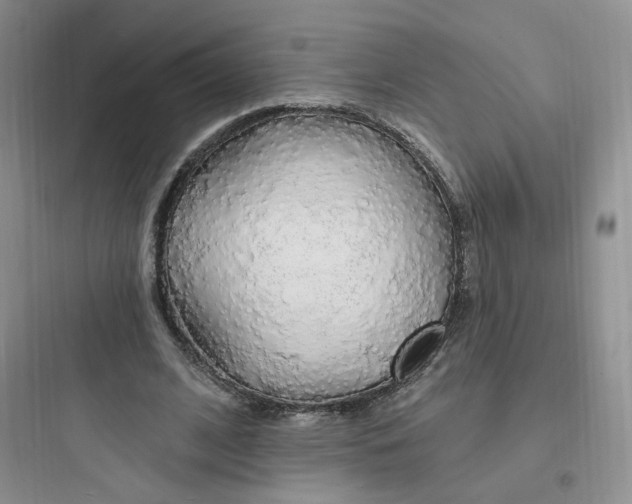 X0000097670584200803211945