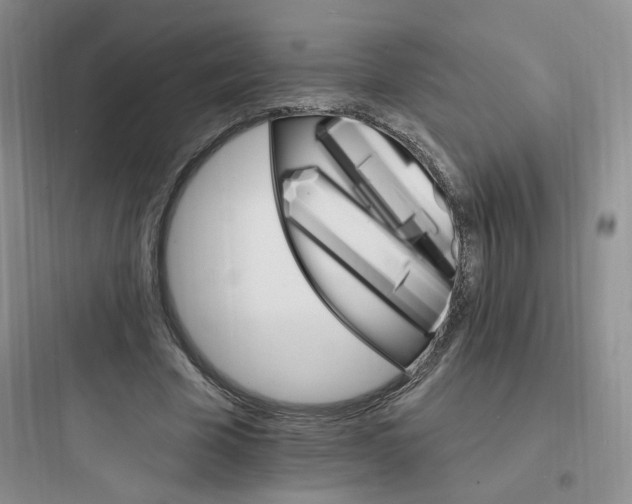 X0000097670585200803211945