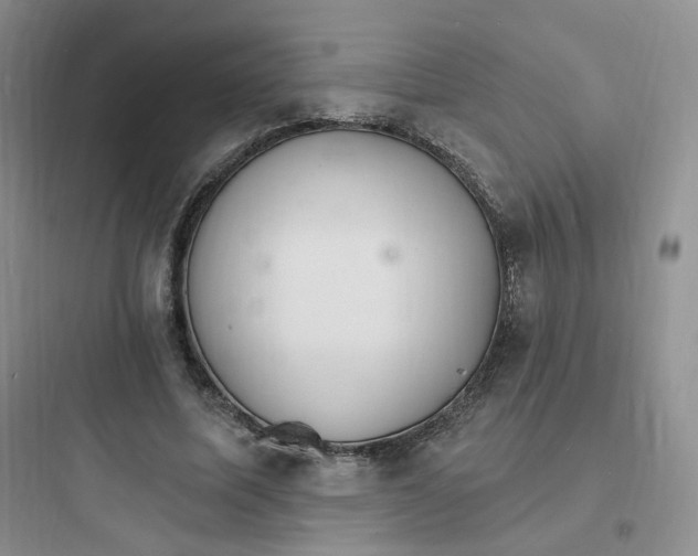 X0000097670587200803211945