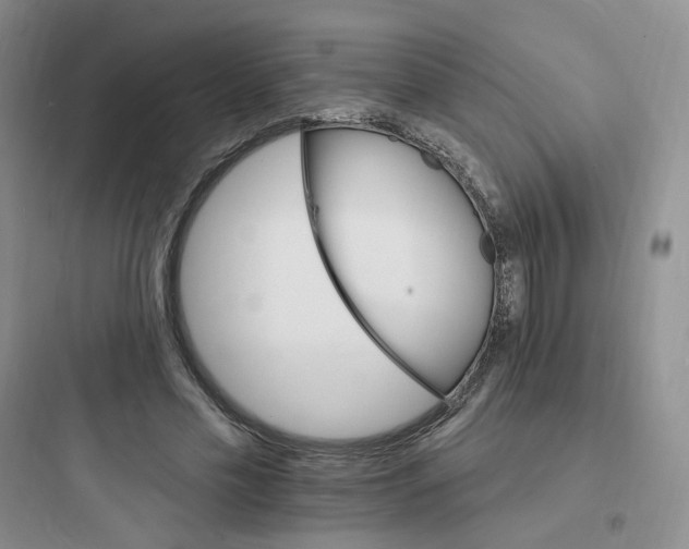 X0000097670589200803211945