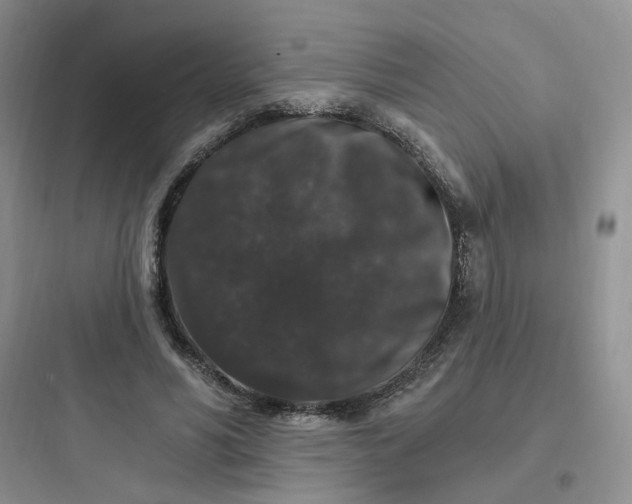 X0000097670590200803211945