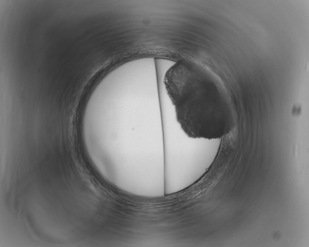 X0000097670591200803211945