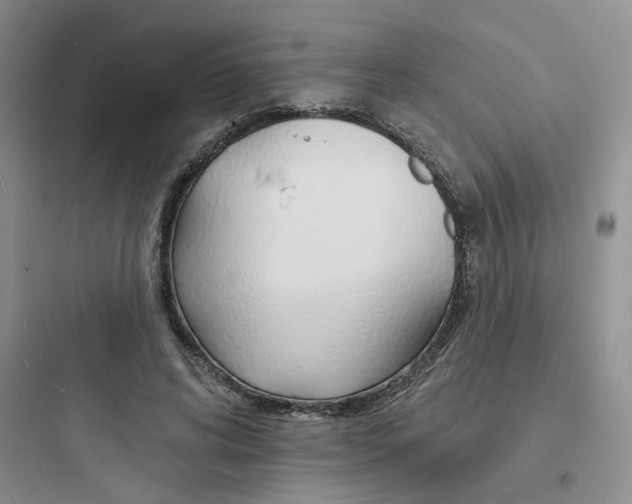 X0000097670592200803211945