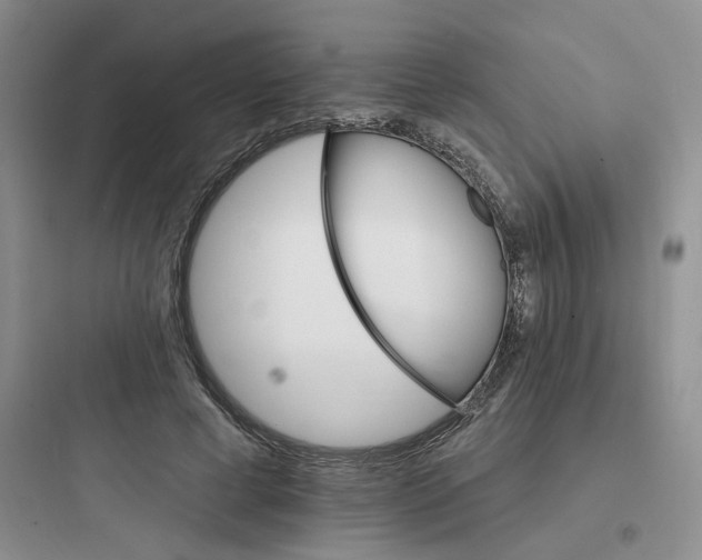 X0000097670593200803211945