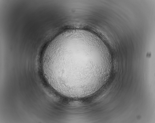 X0000097670594200803211945