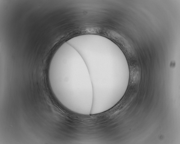 X0000097670595200803211944