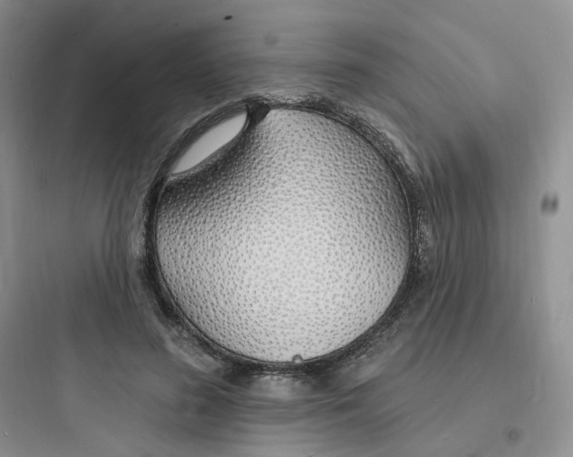 X0000097670596200803211944