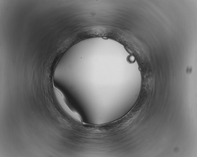 X0000097670597200803211944