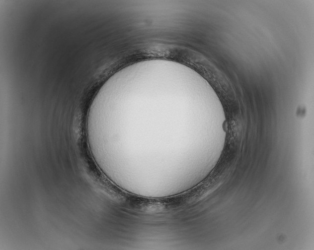 X0000097670600200803211944