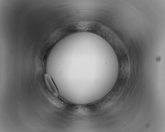 X0000097670601200803211944