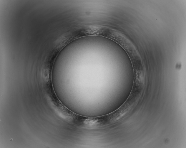 X0000097670602200803211944