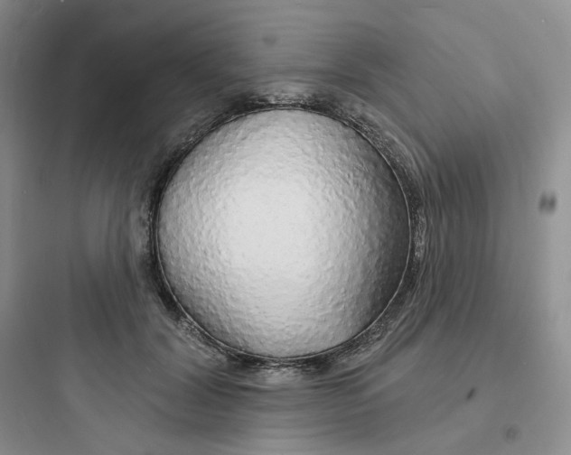 X0000097670604200803211944