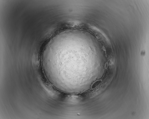 X0000097670607200803211944