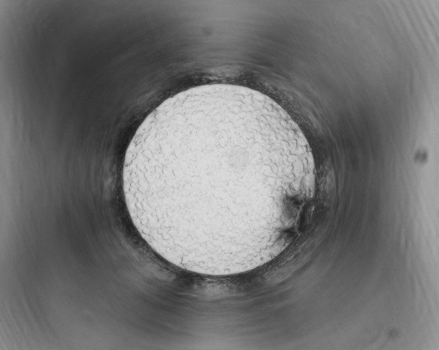 X0000097670608200803211944