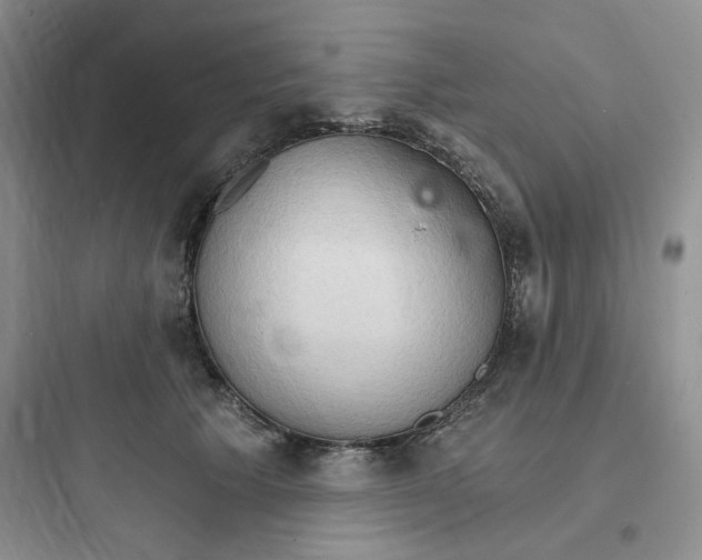 X0000097670609200803211944