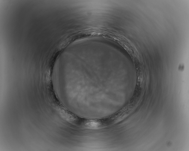 X0000097670610200803211944