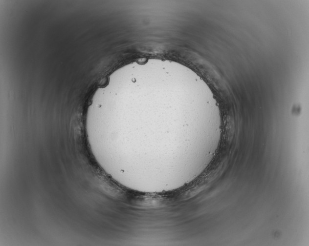 X0000097670612200803211944