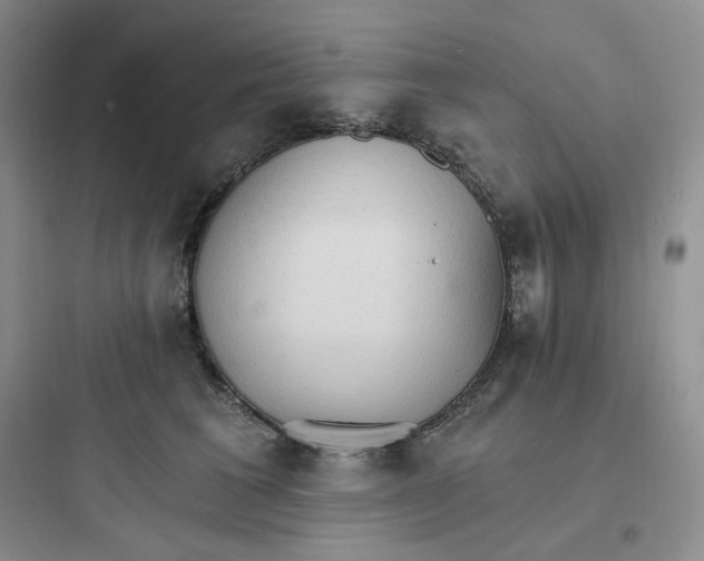 X0000097670613200803211944