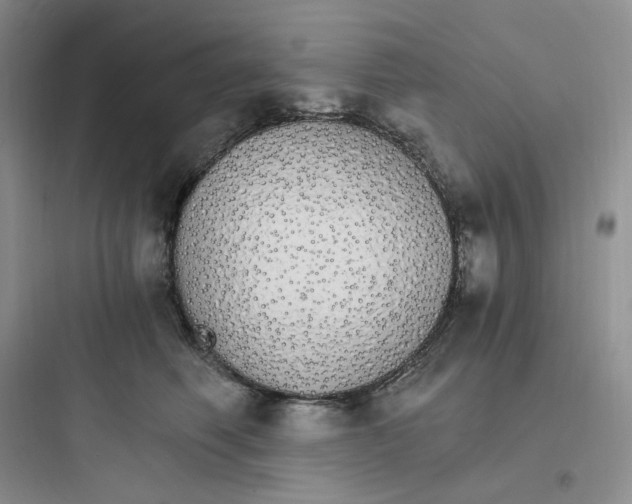 X0000097670614200803211944