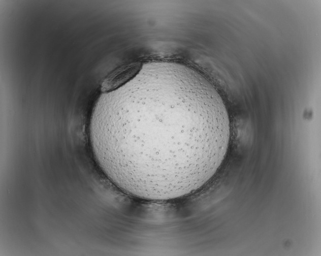 X0000097670615200803211944