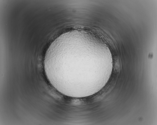 X0000097670616200803211944