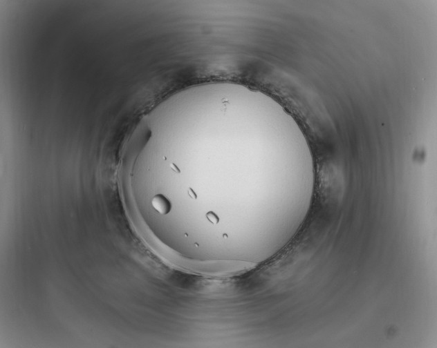 X0000097670617200803211944