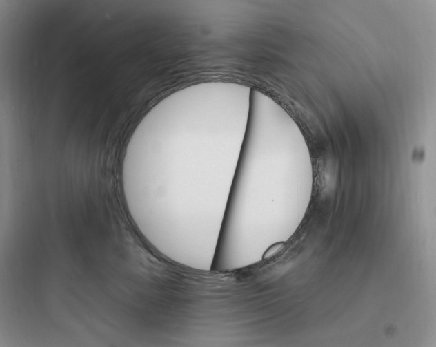 X0000097670619200803211944