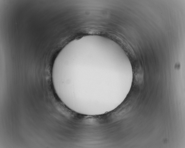 X0000097670620200803211944