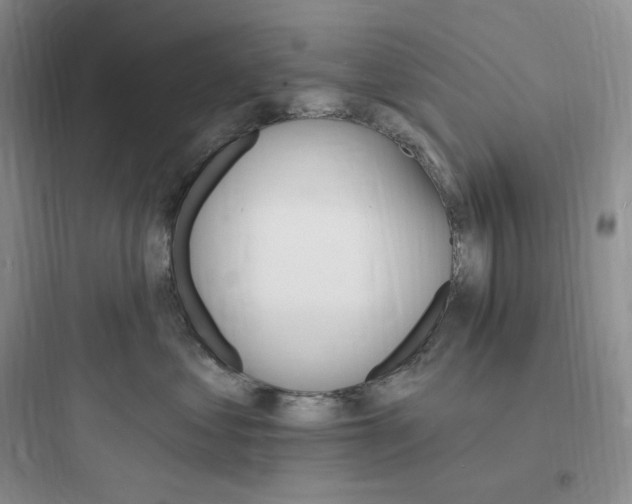 X0000097670621200803211944