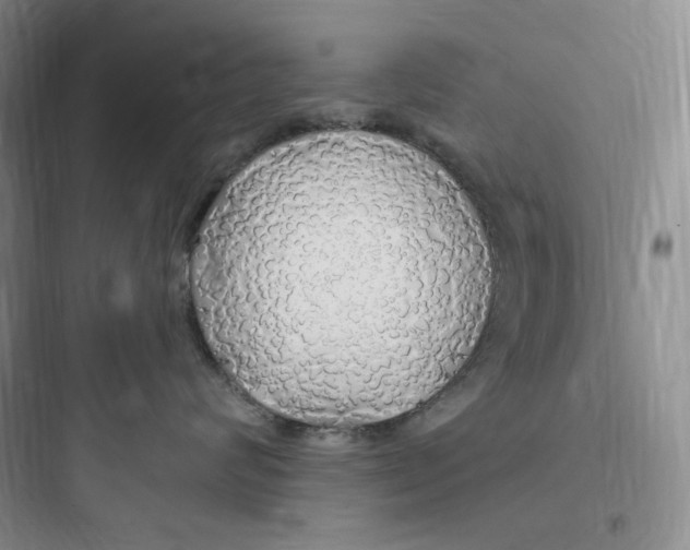 X0000097670624200803211944