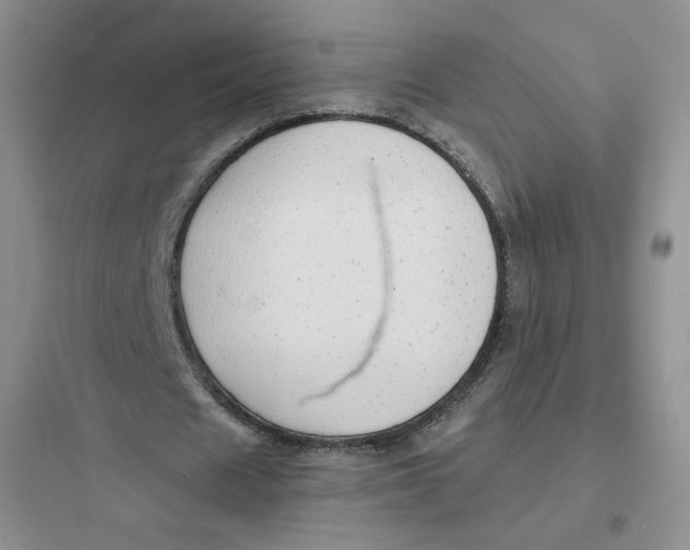 X0000097670625200803211943