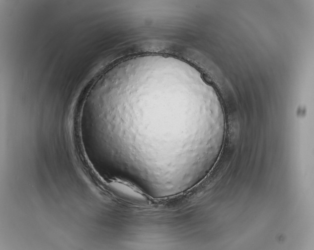 X0000097670626200803211943