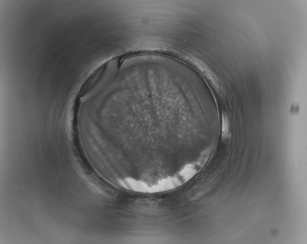 X0000097670627200803211943