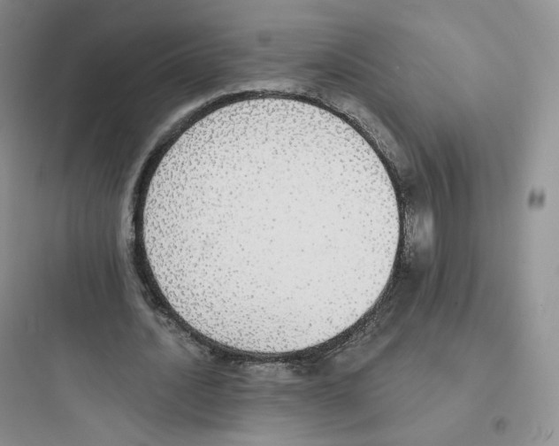 X0000097670628200803211943