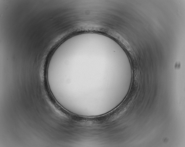 X0000097670629200803211943