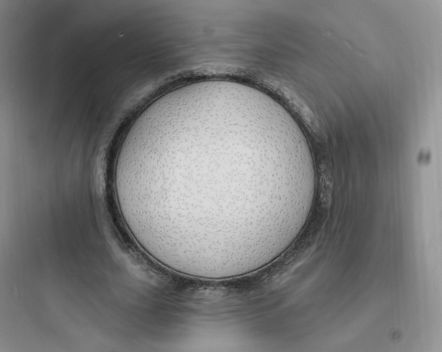 X0000097670631200803211943