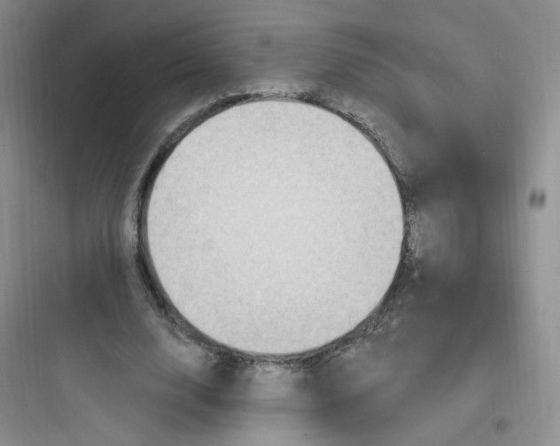 X0000097670632200803211943