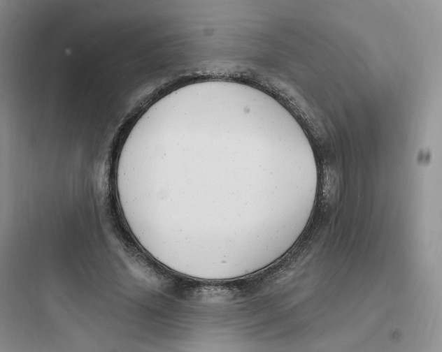 X0000097670636200803211943