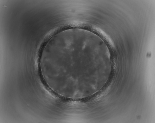 X0000097670637200803211943