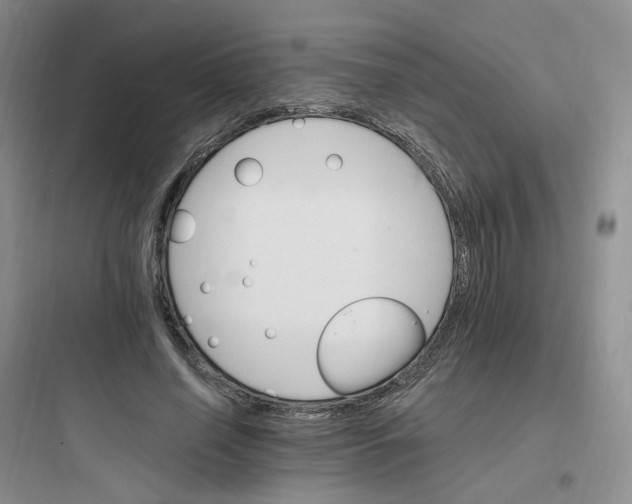 X0000097670638200803211943