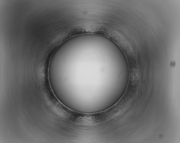 X0000097670639200803211943