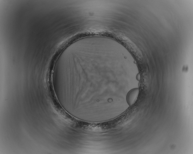 X0000097670640200803211943