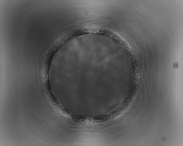 X0000097670641200803211943