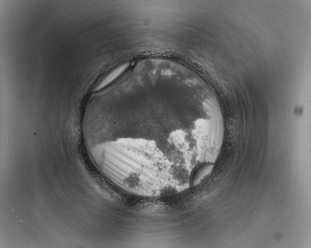 X0000097670642200803211944