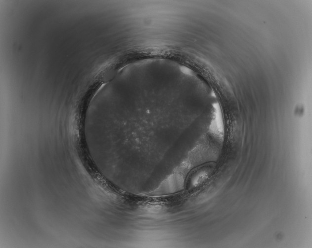 X0000097670643200803211944