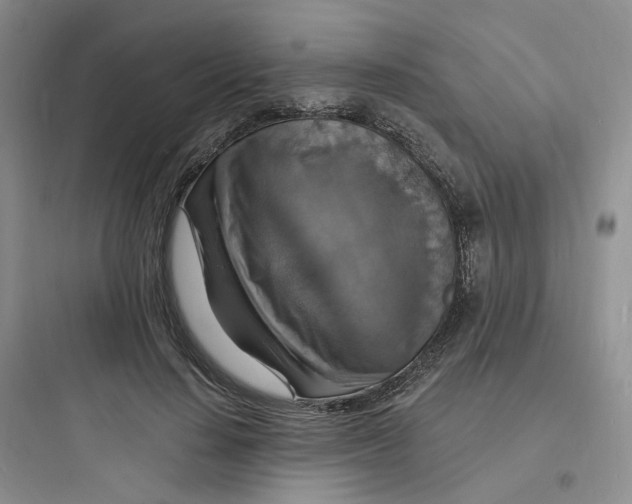 X0000097670644200803211944