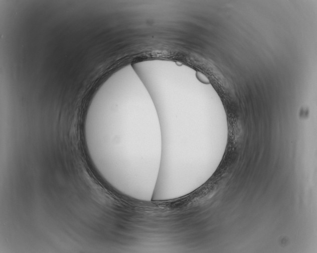 X0000097670645200803211944