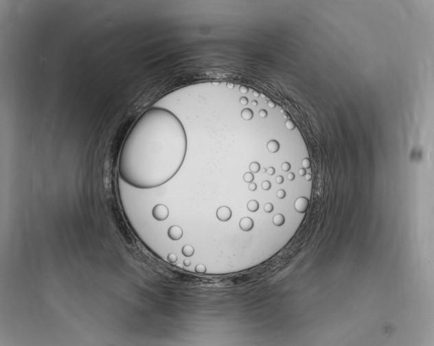 X0000097670646200803211944