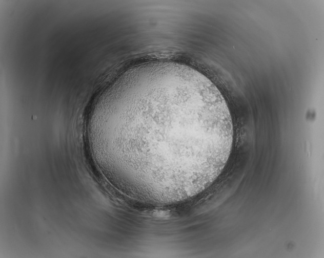 X0000097670647200803211944