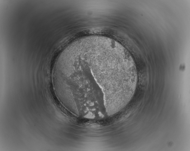 X0000097670648200803211944